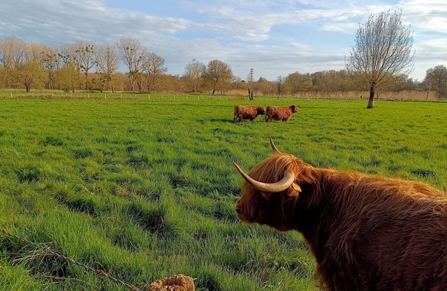 House in Nantes Sud Bord de Sèvre