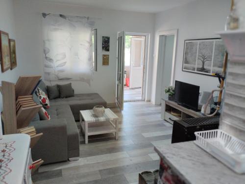 House&mini-Camp SKELICA