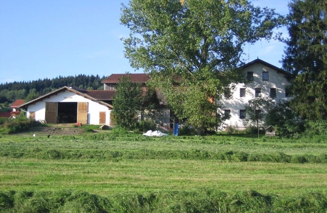 House to relax, plenty of room to romp and play, Pets welcome