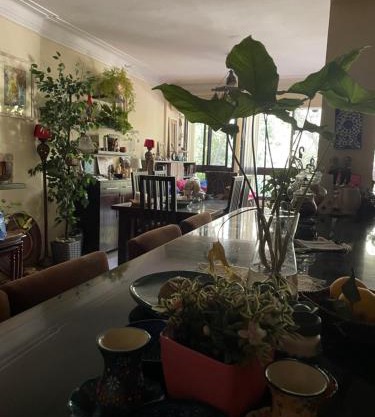 House with Garden view - Female only