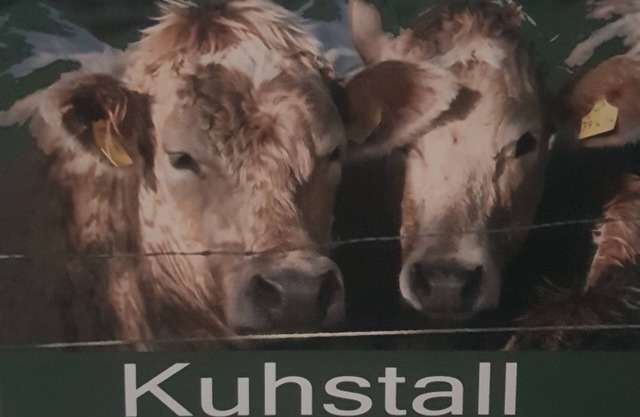 Jan's vacation apartment 1