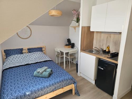 Joli studio plein centre proche Gare Orléans