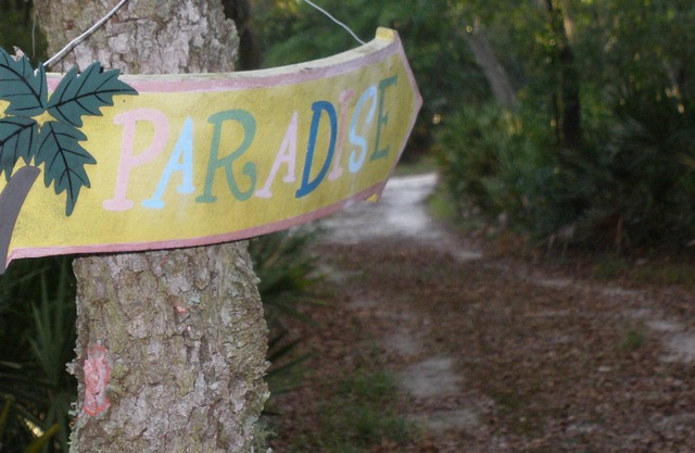 Just What You Are Looking For, Get Away From It All And Bring The Pets Too.