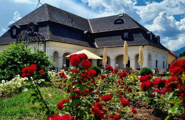 Kaštieľ Košťany