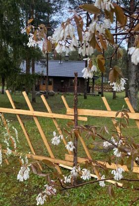 Kuldvitsa puhkemaja saunaga