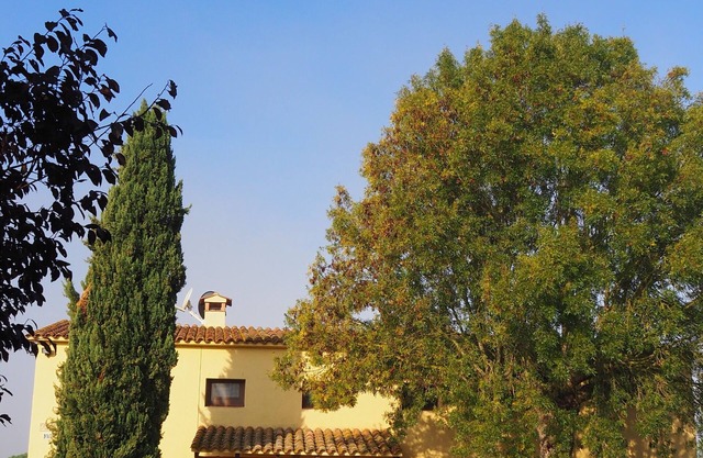 La Petita del Mas Salom. Ideal agritourism for families! Caldes de Malavella