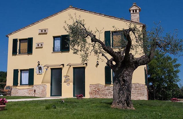 LA TANA DEL CINGHIALE