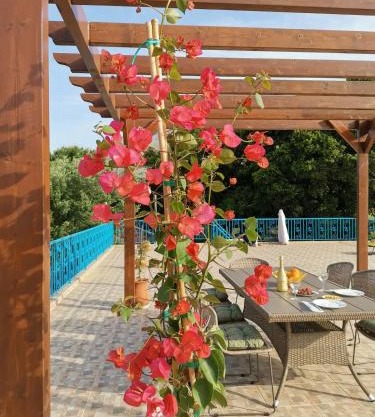 LEMON TREE GARDEN near Mirtos beach