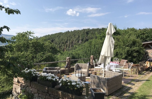 LES FERMES DE PINPIN -LABAROCHE NEAR SKI RESORT AND ALSACE WINE ROUTE