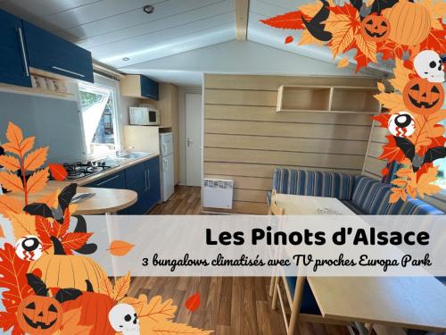 Les Pinots d'Alsace - 3 bungalows climatisés avec TV - Proche Europa Park