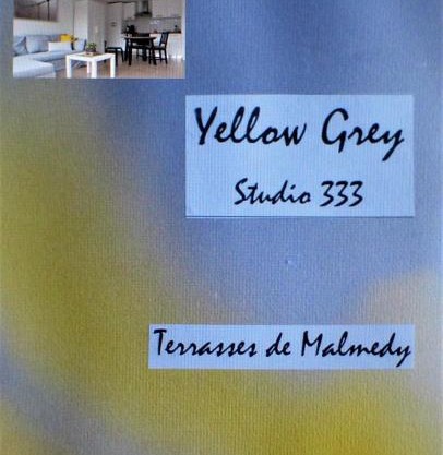 Les terrasses de Malmedy Studio 333 Yellow Grey