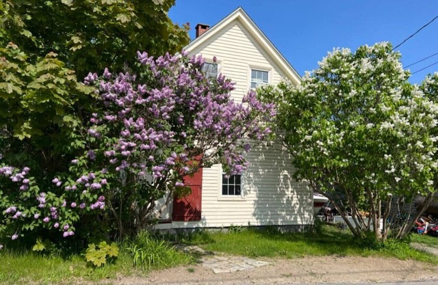 Lilac Cottage a Little Gem on Cottage Street