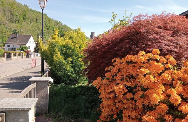 Lodging under the castle of Kaysersberg.10mn from the Christmas market Free parking