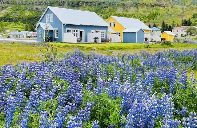 Lonsleira Apartments