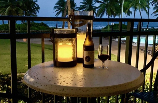 Lovely & Relaxing Ocean Front Villa in Puerto Rico