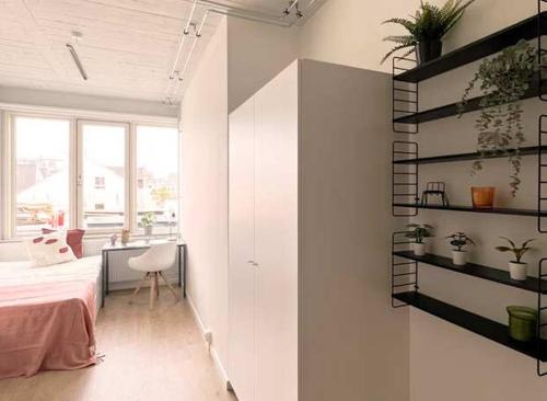 Lovely Studio with kitchen