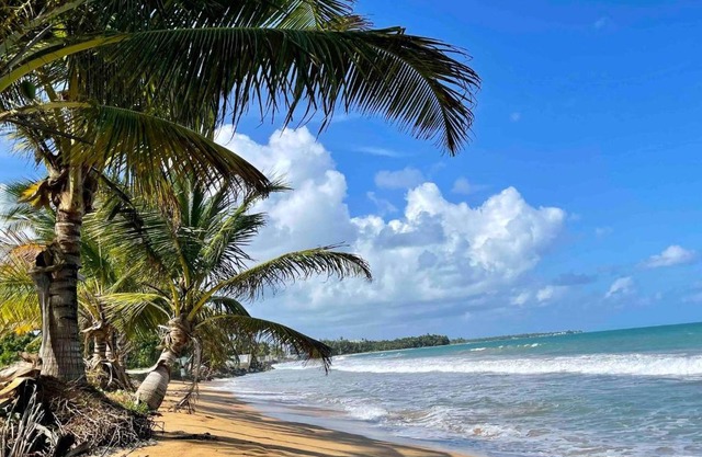 Luquillo Beach Retreat - 2 Private Units Side-by-Side