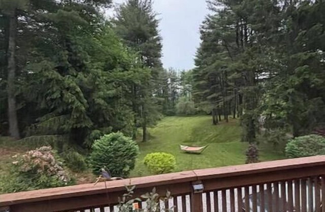 Lux Berkshire Mountain Haven: New reno, private road/acreage, best locale & ski!