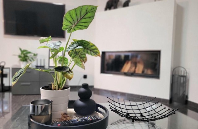 Luxury Appartement Marz, Europa Park- Rulantica