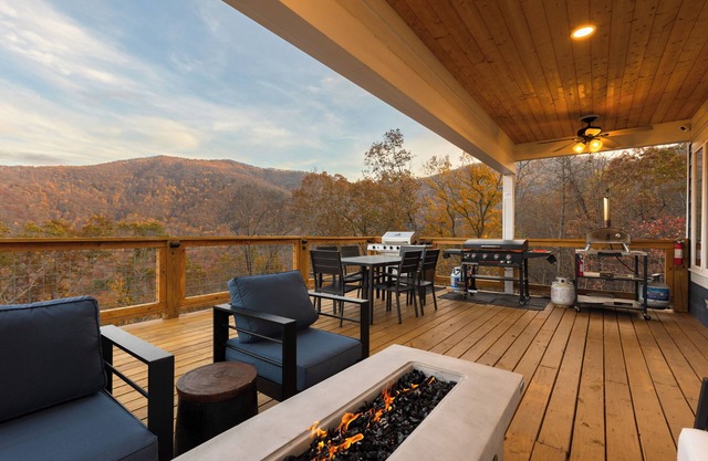 Luxury Cozy Mountain Treehouse w/Hot Tub + Gym mins to AVL + BlkMtn