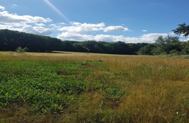 Magnificent Small 19th Century Manor