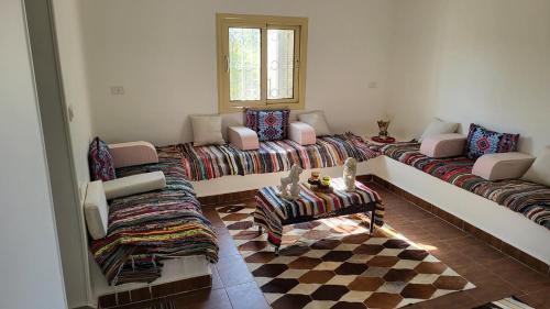 Mansouria Ranch - Cairo - Egypt