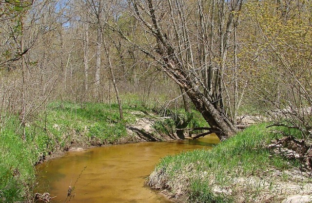 Maple Cabin - Beaver Creek Reserve