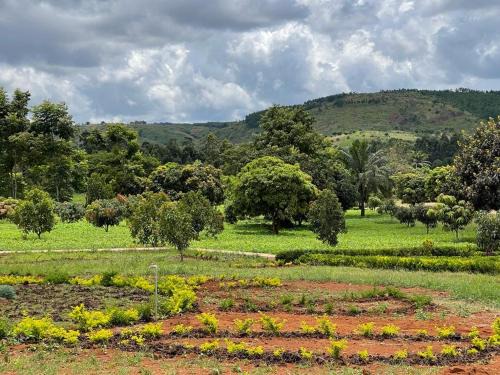 MARK-A Karama Vacation