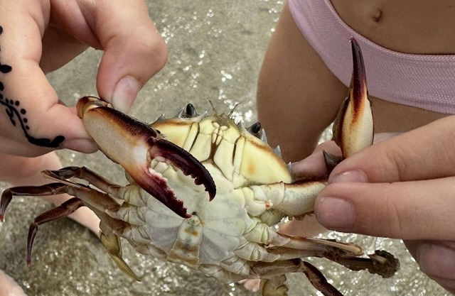 Mayflower Beach House