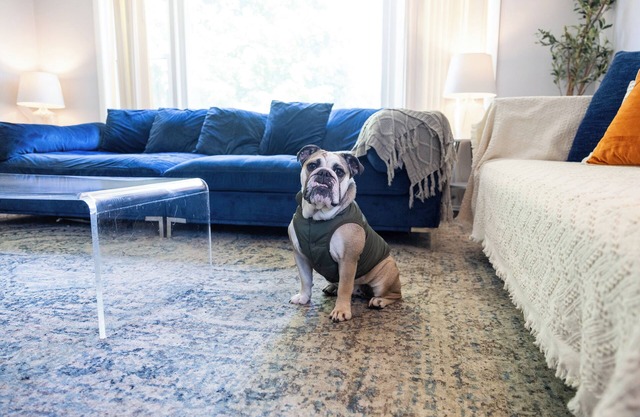 MDRN Kid-Friendly Apt|Charming|Private|Sunny|Fast Wi-Fi| Parking