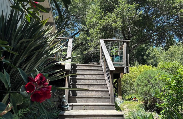 Mid Century Modern 3-bedroom house with outdoor spaces and a ton of light