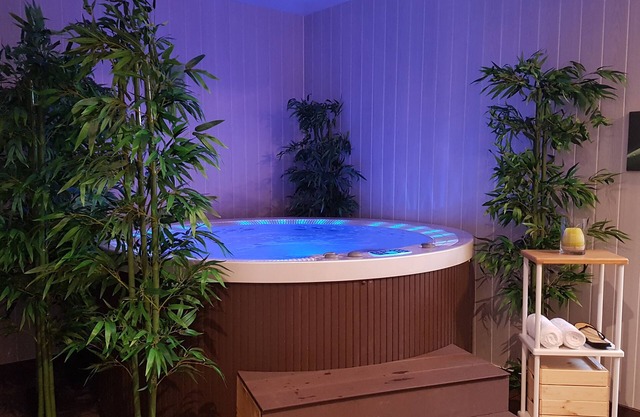 Modern apartment in Saint Dyé sur Loire near Chambord comfort + bikes