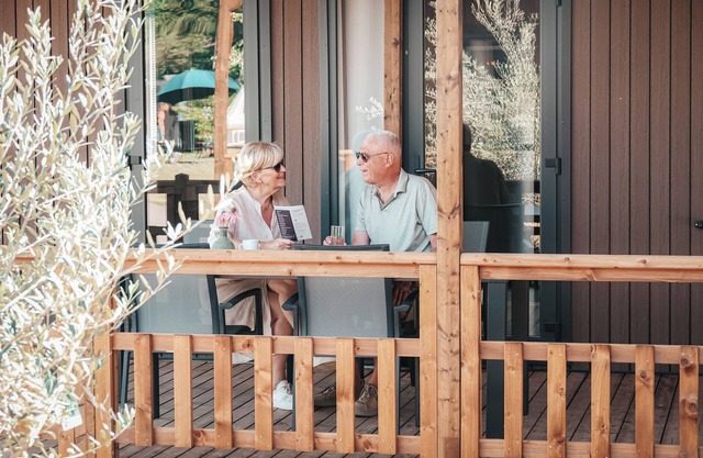Modern lodge for 2 guests with panoramic windows, rain shower and covered terrace in the Sallandse Heuvelrug.