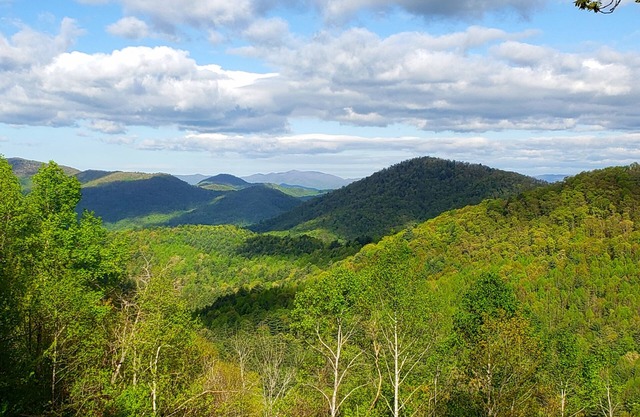 Mountain Top Privacy with Spectacular Views & Sunsets -Pet Friendly