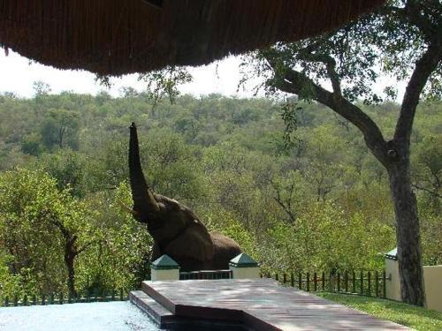 Muweti Bush Lodge