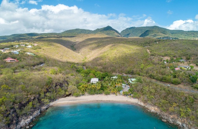 Nature, feet in the water