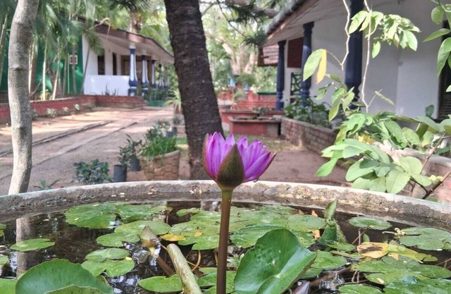 Nature Lodge Habarana