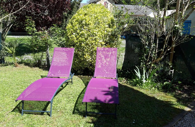 "Néflier" in the Dordogne between Saint-Emilion and Aubeterre-sur-Dronne