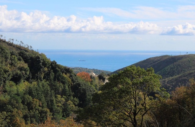 Nestled in a centuries-old forest on the first hill 15 minutes from the sea