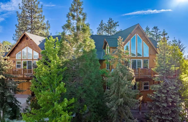 New! Bearadise~ Mighty Bear Manor