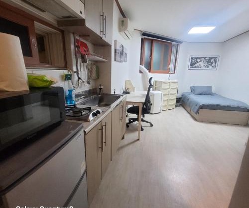 Newly Renovated Cozy Studio#9