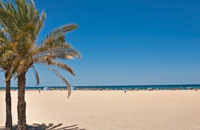 Nice apartment near City Arts and Sciences and Beach