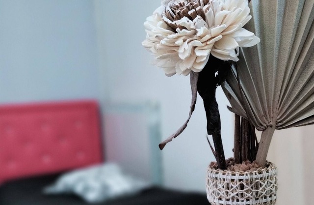 Nice studio 5 min from the historic center