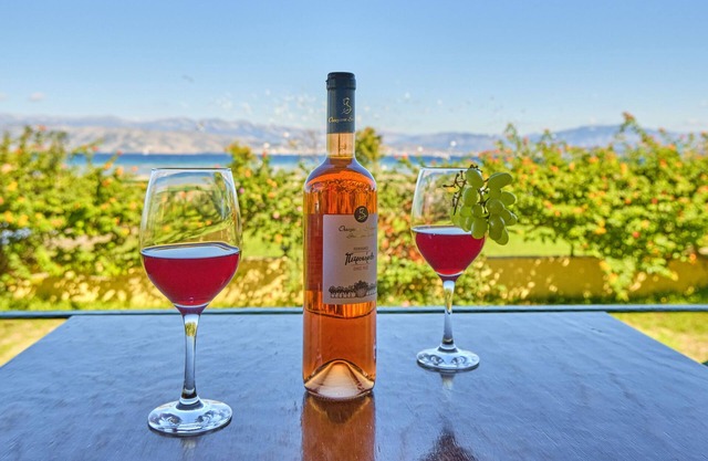 Nikos Kalamaki Corfu Apartment 4