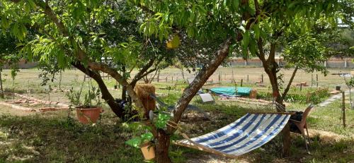 Noctua Villam GuestHouse