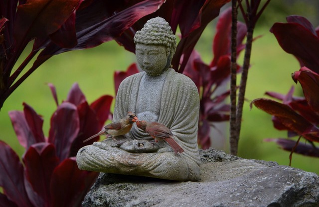 Off the Beaten Track On the Island of Hawai`i!