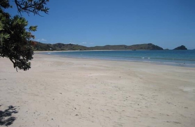 Opito Bay - A Slice of Paradise on the Coromandel