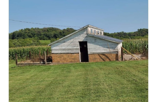 Our Family Farm and Ranch, Milk the cow, feed the animals, and collect the eggs