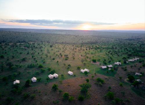 Pamoja Migration Camp