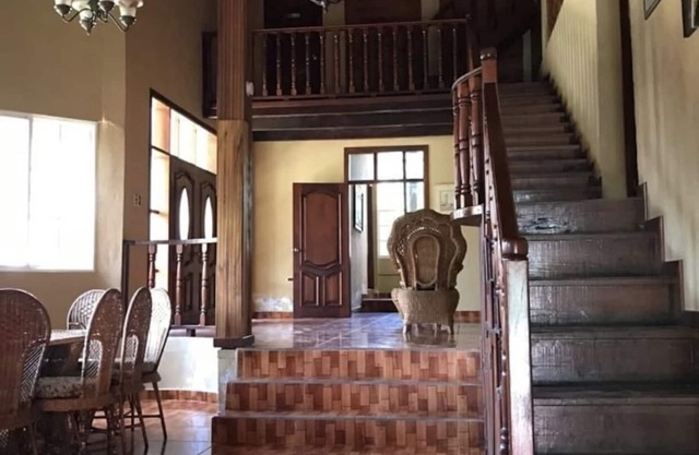 Paraíso Tropical 504